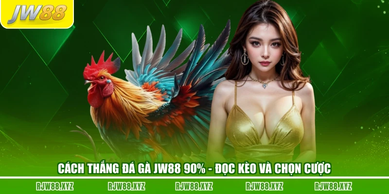 Cách Thắng Đá Gà JW88 90% - Đọc Kèo Và Chọn Cược