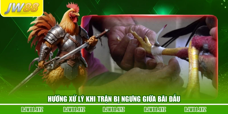 Hướng xử lý khi trận bị ngưng giữa bãi đấu