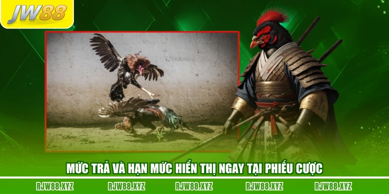 Mức trả và hạn mức hiển thị ngay tại phiếu cược