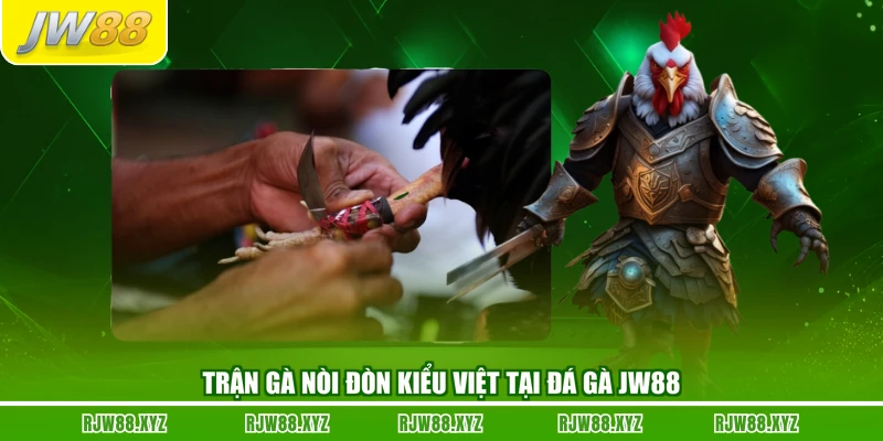 Trận gà nòi đòn kiểu Việt tại đá gà JW88